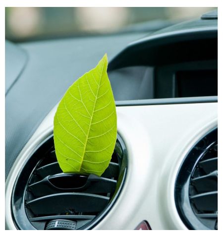 Osvěžovač vzduchu / vůně do auta - Energy 1ks | Filson Store