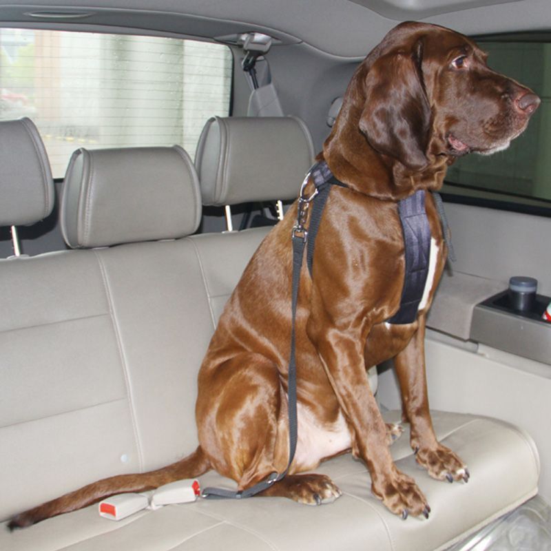 Bezpečnostní pás / popruh do auta / vesta pro psa - velikost XL