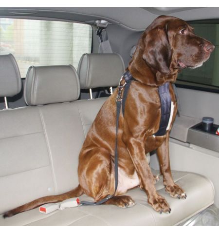 Bezpečnostní pás / popruh do auta / vesta pro psa - velikost XL | Filson Store
