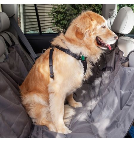 Bezpečnostní pás / popruh do auta / vesta pro psa - velikost XL | Filson Store