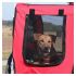 Přívěs / vozík za jízdní kolo Bellelli Pet Trailer pro psy / zvířata - nosnost 40kg / červený | Filson Store