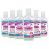 Dezinfekční gel na ruce / dezinfekce Sanitiz 6x 50ml - parfém máta / obsahuje Aloe Vera | Filson Store