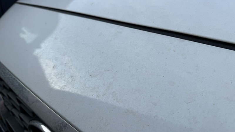 Roxbox ve Filson Store